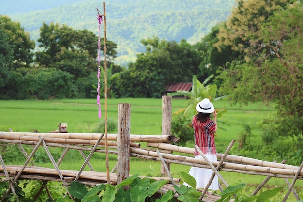 Woman enjoy the beautiful view of vibrant green paddy field from a bamboo bridge