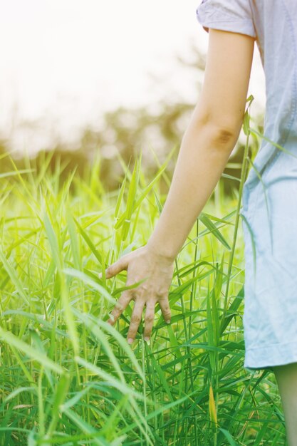 Woman enjoy grass flower in meadow at sunset