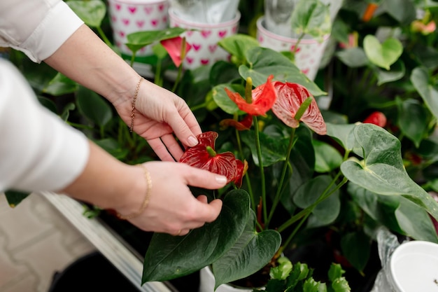 花屋で植物の葉を調べる女性