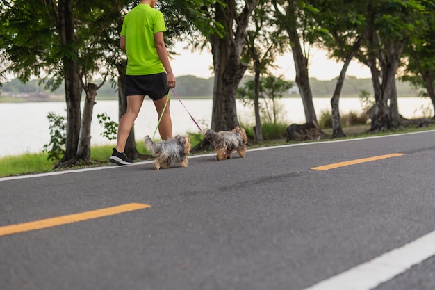 公園の道を彼女の小さな犬と一緒に歩いている女性運動。