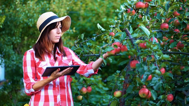 Foto agricoltore o agronomo donna esamina il raccolto di mele e fa appunti nella tavoletta della fattoria