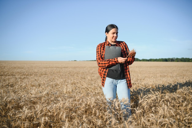 Женщина-агроном-фермер, работающая на зерновом поле и планирующая доход от урожая Женщина, изучающая и проверяющая контроль качества урожая пшеницы Управление сельским хозяйством и агробизнес