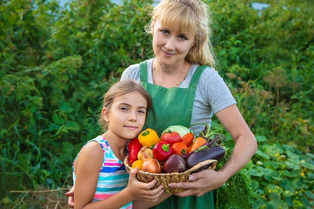 野菜の収穫と庭の女性農夫と子供。セレクティブフォーカス。子供。