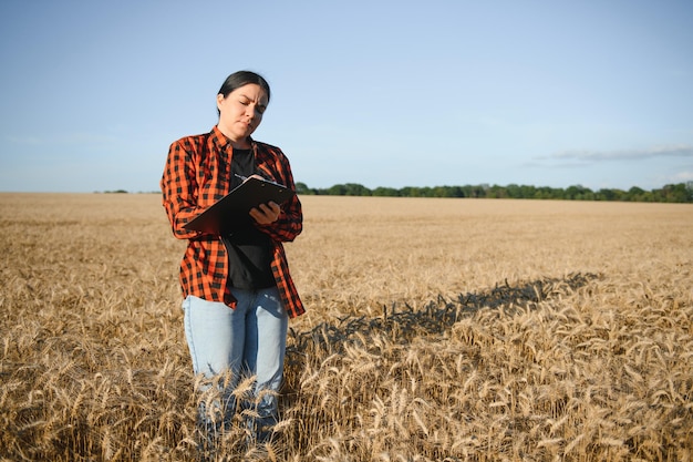 A woman farmer examines the field of cereals and sends data to the cloud from the tablet Smart farming and digital agriculture