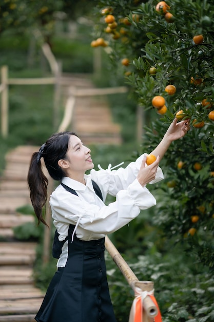 Woman farmer picking carefully ripe orange in orchard