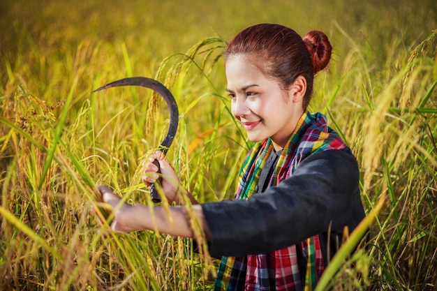 Premium Photo Woman Farmer Using Sickle To Harvesting Rice In Field