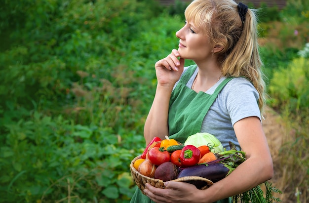 Женщина-фермер в огороде с урожаем овощей. Выборочный фокус. Еда.
