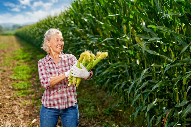 Женщина-фермер с урожаем кукурузы.