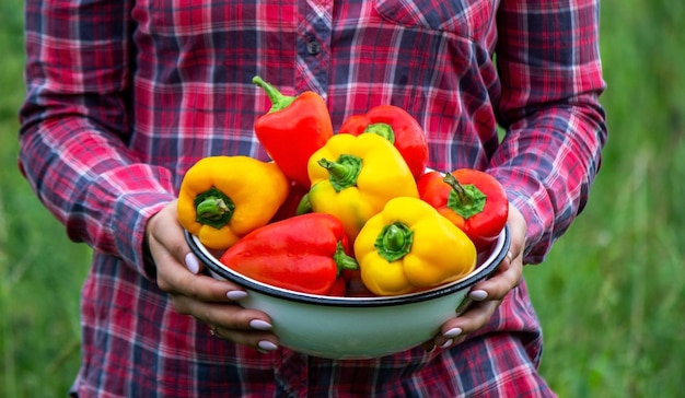 Woman farmer with homemade vegetables in her hands. Selective focus.