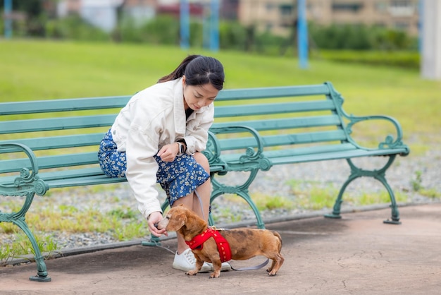 Woman feed her dachshund dog at park