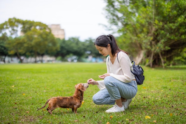 Woman feed her dog at park