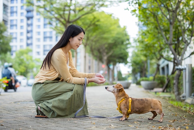 女性が通りで犬にスナックをあげている