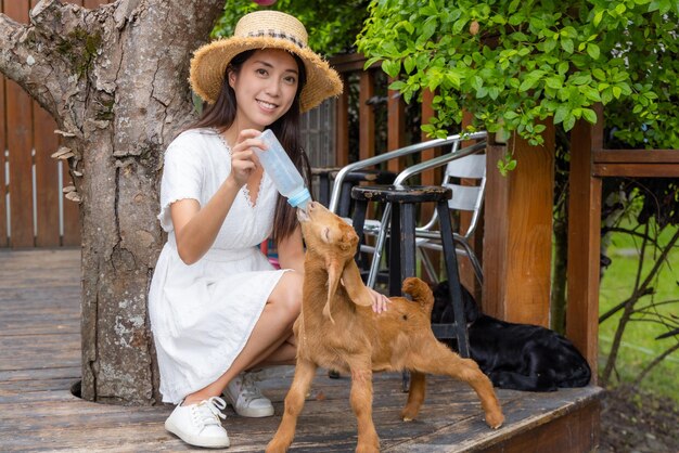 Woman feed milk with baby sheep at park