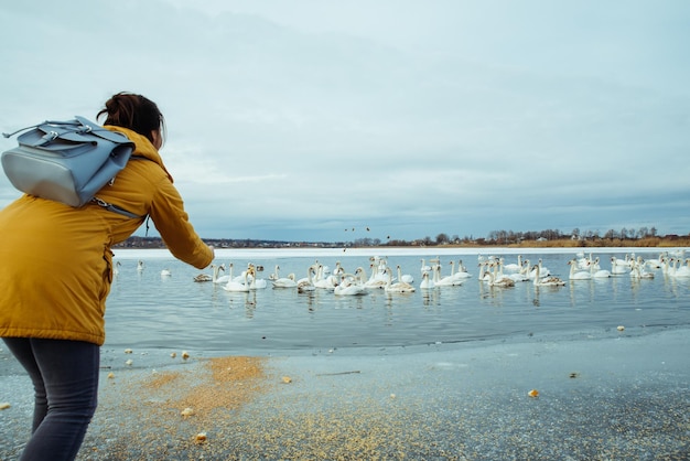 Woman feed swans on winter lake