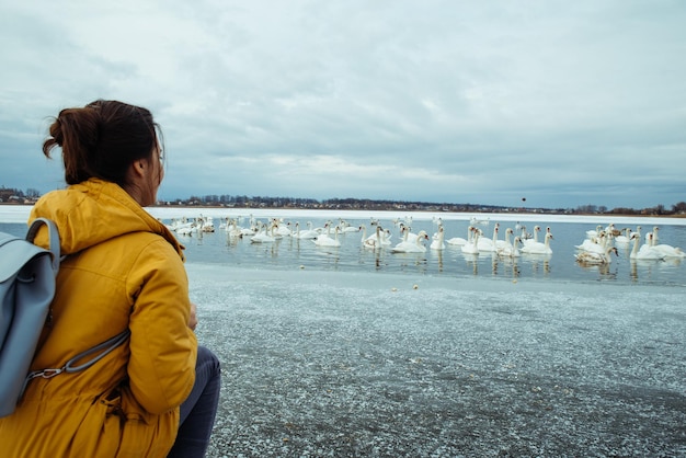 Женщина кормит лебедей на зимнем озере
