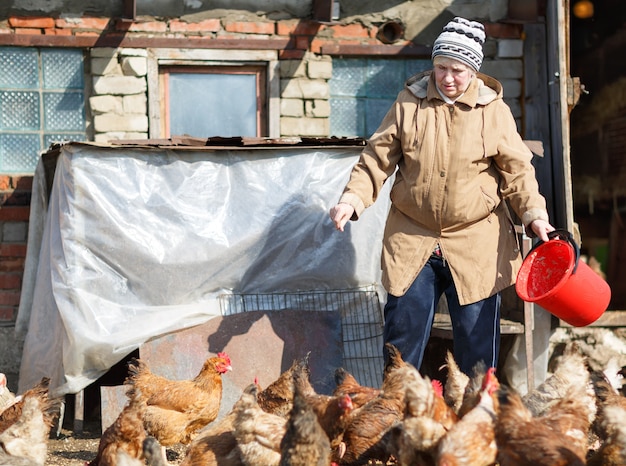 Фото Женщина кормит цыплят на ферме в весенний день