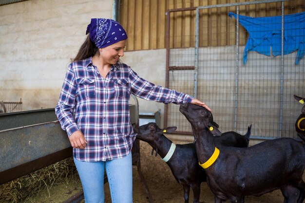 woman feeding the goats on an old farm