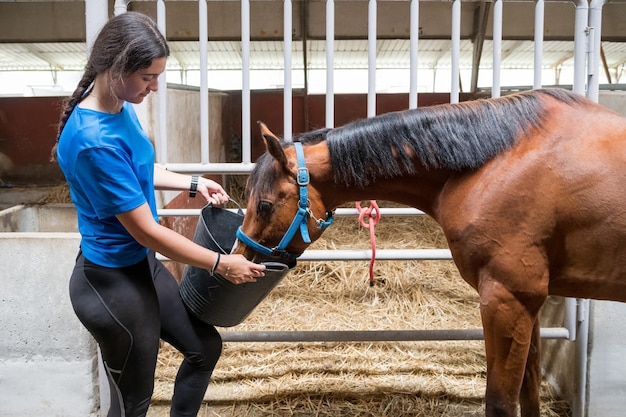 Woman feeding horse near stall