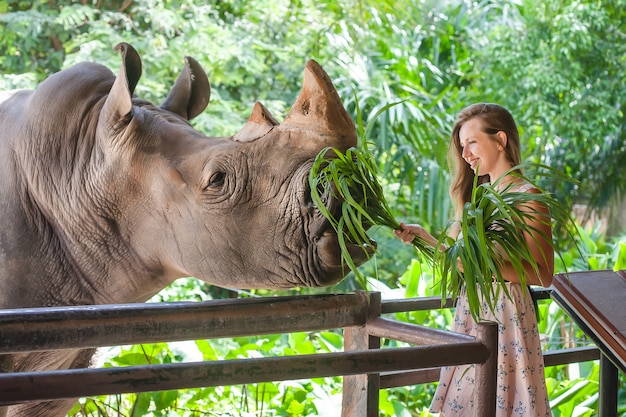 Женщина кормит носорога в зоопарке
