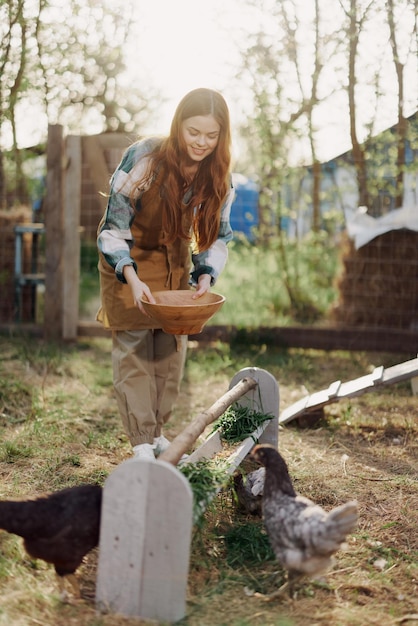 Woman feeds chickens organic food for bird health and good eggs and care for the environment