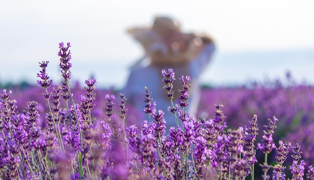 Woman in a field of lavender flowers in a white dress selective\
focus