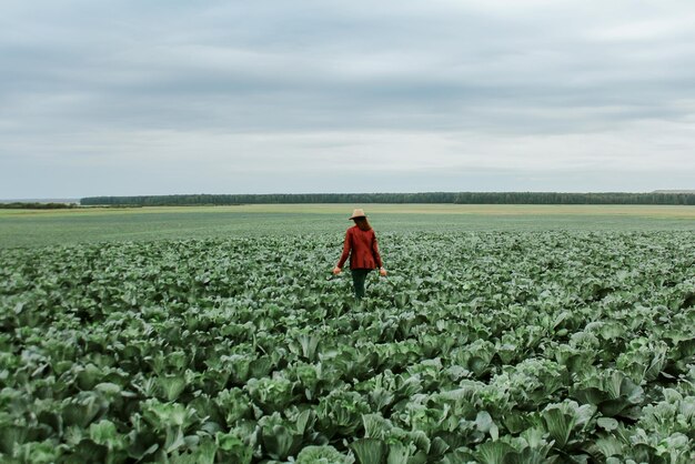 A woman in a field with cabbage