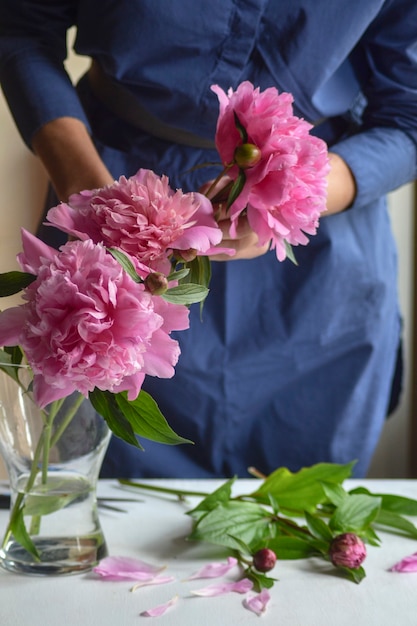 Woman, florist put a peonies in a vase. Beautiful pink pions peonies in a jar. Close up.