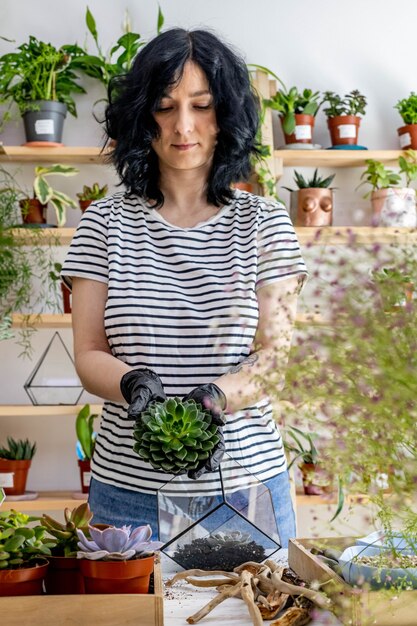 Trapianto di piante grasse da fiorista donna in florari di vetro con composizione di arte botanica decorativa