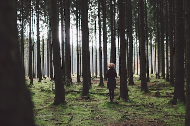 Photo woman in forest