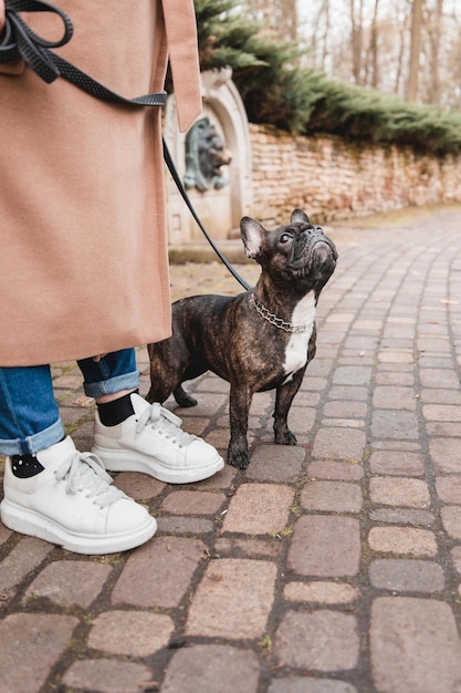 A woman and a french bulldog on a sidewalk