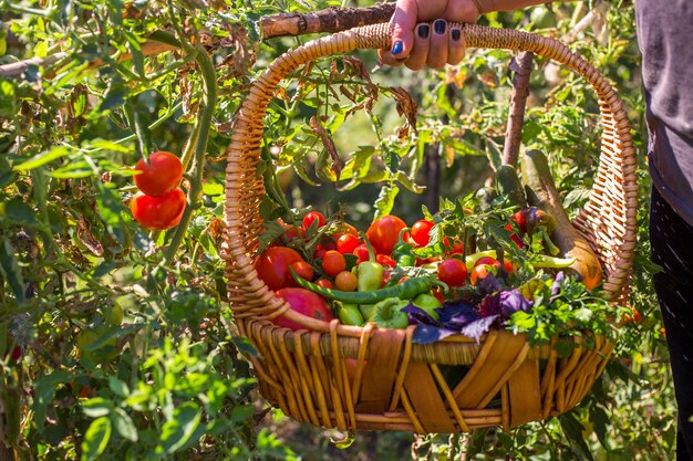 Foto una donna in giardino con le verdure nelle mani