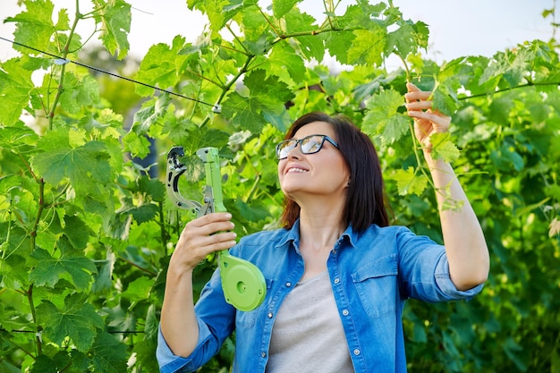 Woman gardener farmer making garter of vine bushes in vineyard using professional equipment