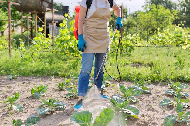 バックパック圧力噴霧器を持つ女性の庭師農家は、真菌性疾患や害虫に対して、春のシーズンにブドウ園にスプレーします