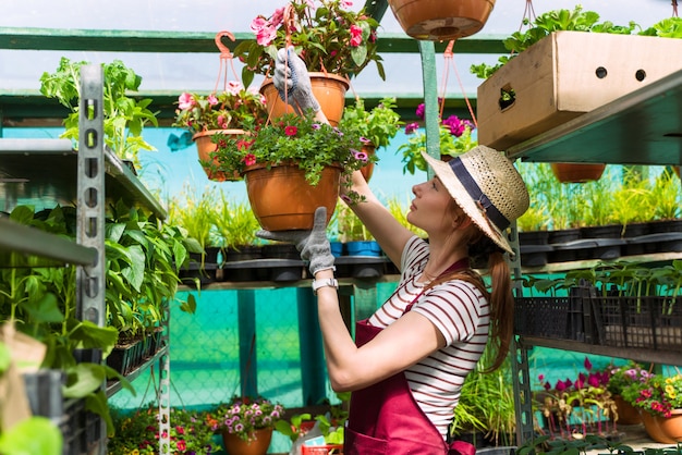 Woman gardener in hat and gloves works with flowers in the greenhouse