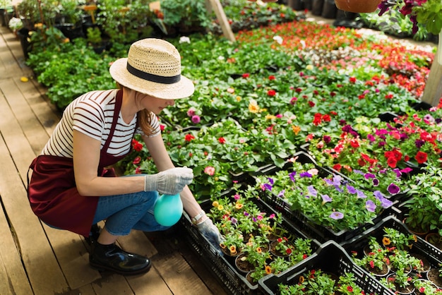 Il giardiniere della donna in cappello e guanti lavora con i fiori nella serra