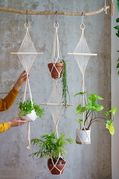 Giardiniere della donna che tiene il gancio della pianta del macrame con le piante d'appartamento sopra il muro grigio a casa