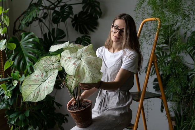 写真 大きな白い葉を持つニシキイモ観葉植物を保持している灰色のリネンドレスの女性庭師