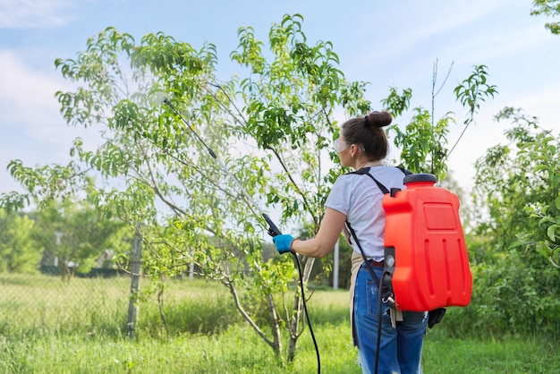 Woman gardener spraying peach trees in a spring orchard