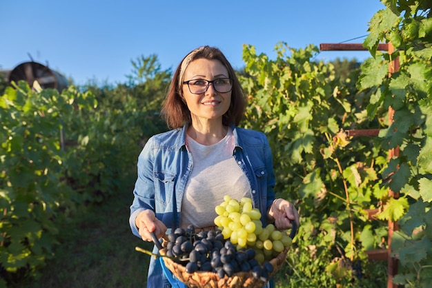 Woman gardener walking with basket with grape harvest, vineyard background. Garden, growing organic grapes, healthy natural food