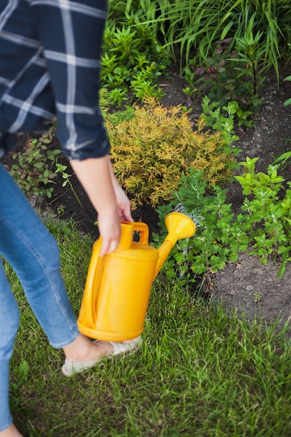 Donna giardiniere che innaffia le piante nel giardino nel cortile sul retro