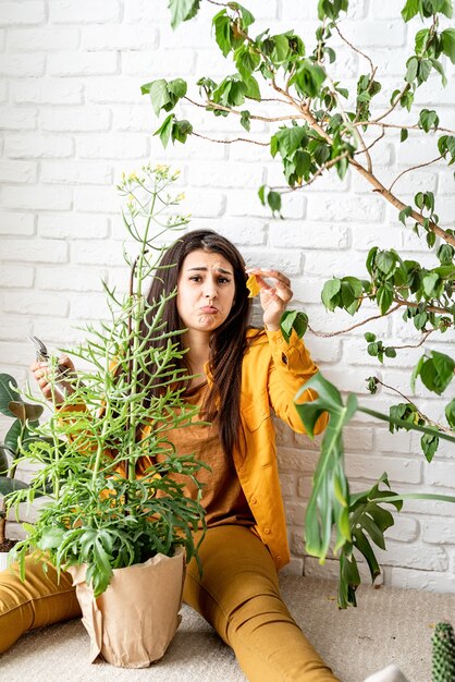 woman gardener working in home garden showing yellow leaf