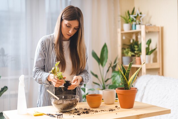 Donna giardinieri pianta in vaso