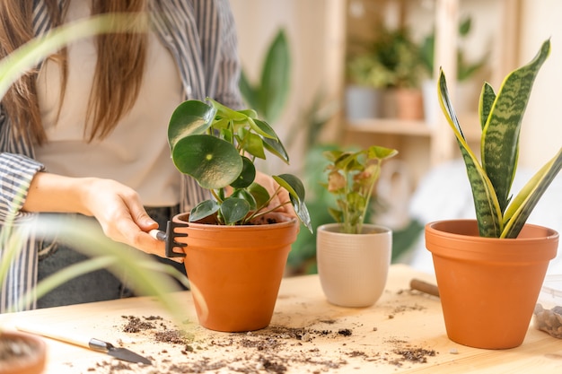 植物に水をまく女性の庭師