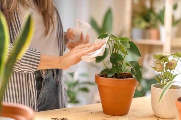 Woman gardeners watering plant