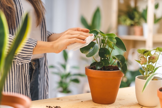 植物に水をまく女性の庭師