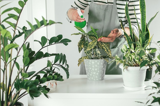 Woman gardeners watering plants at home close up