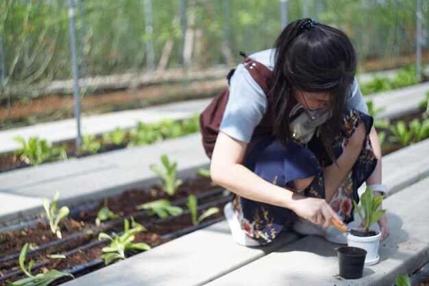 写真 庭でガーデニングをしている女性