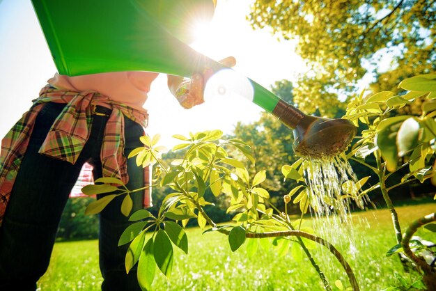 Woman gardening outside in summer nature