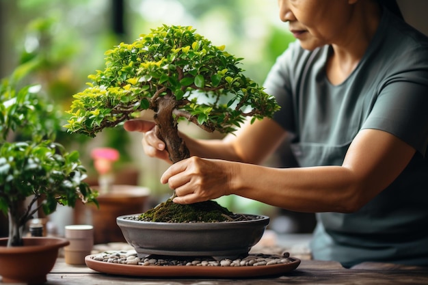 Foto donna che si occupa di giardino e si prende cura dell'albero bonsai