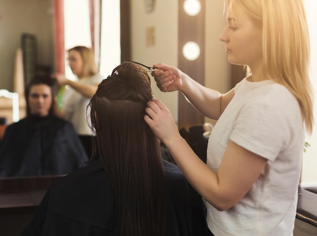 Woman getting hairdo at salon. Professional hair stylish pinning up the hair